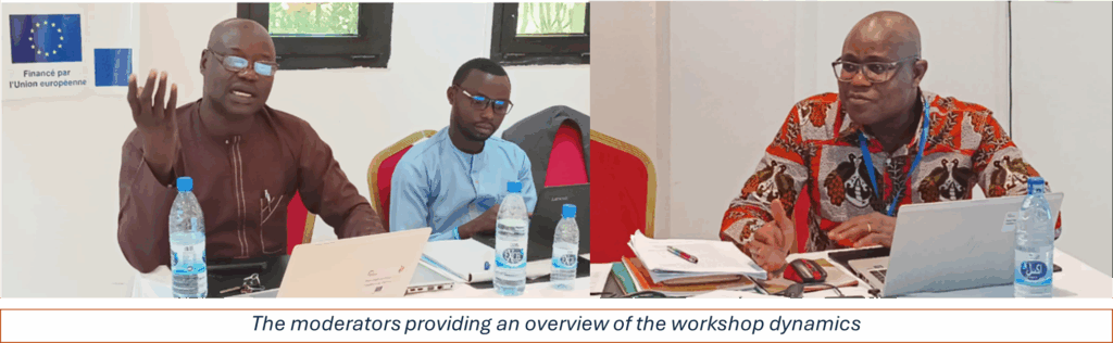 2025 blog observation to action workshop chad eisa1 transparent democratic governance in africa