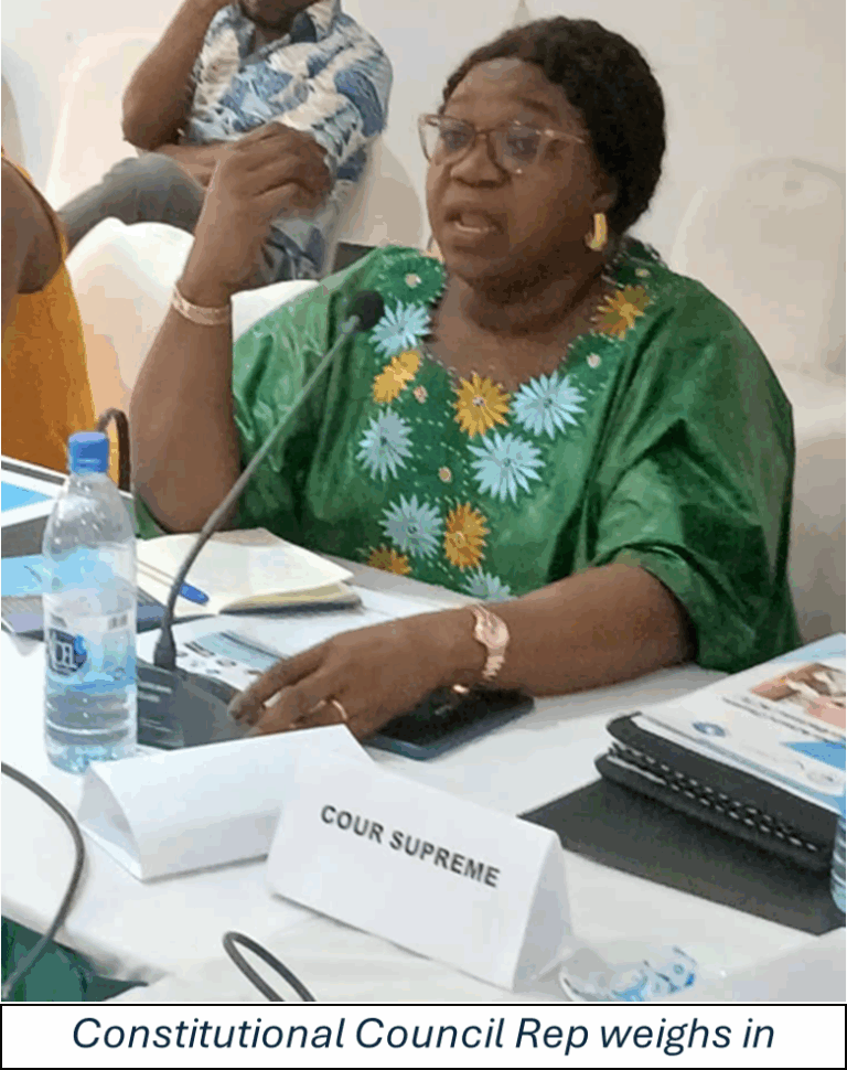 2025 blog observation to action workshop chad eisa6 transparent democratic governance in africa