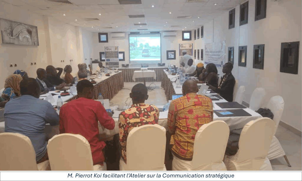 2025 blog communications chad eisa6 transparent democratic governance in africa