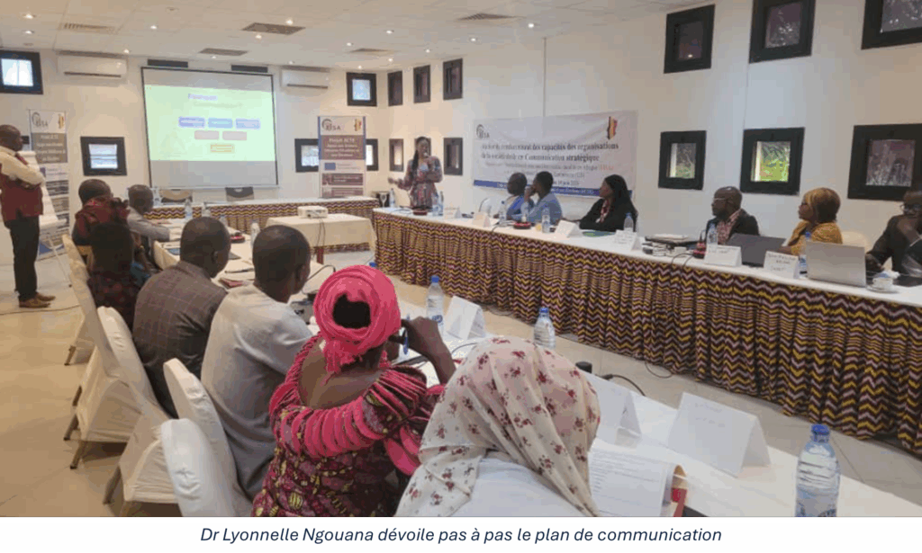 2025 blog communications chad eisa7 transparent democratic governance in africa