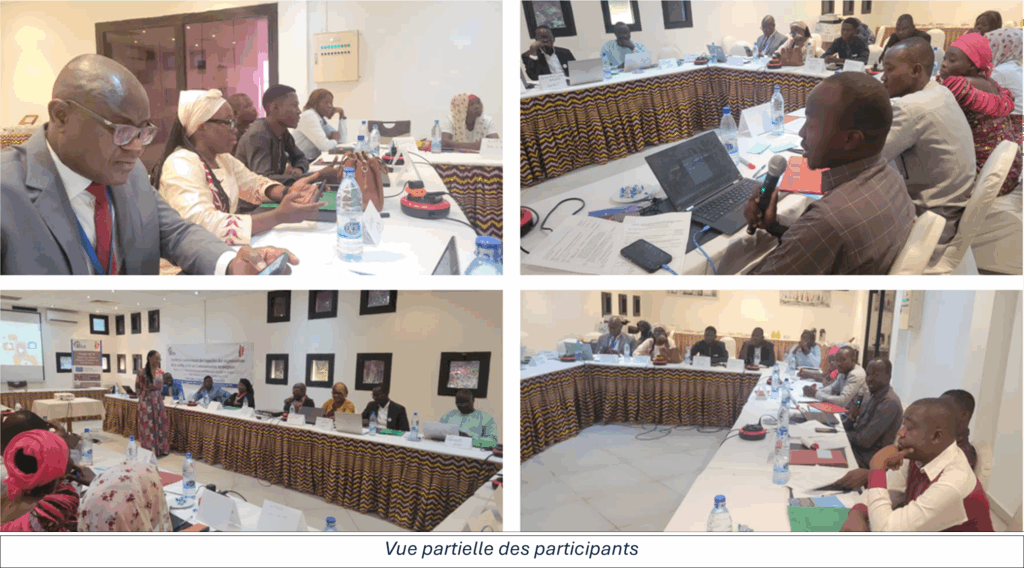 2025 blog communications chad eisa9 transparent democratic governance in africa