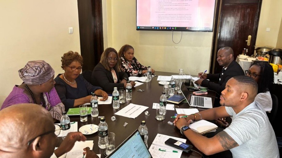2025 gender mainstreaming malawi eisa transparent democratic governance in africa