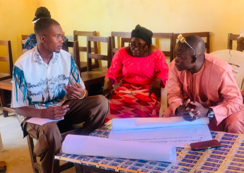 2025 social cohesion local development chad eisa1 transparent democratic governance in africa